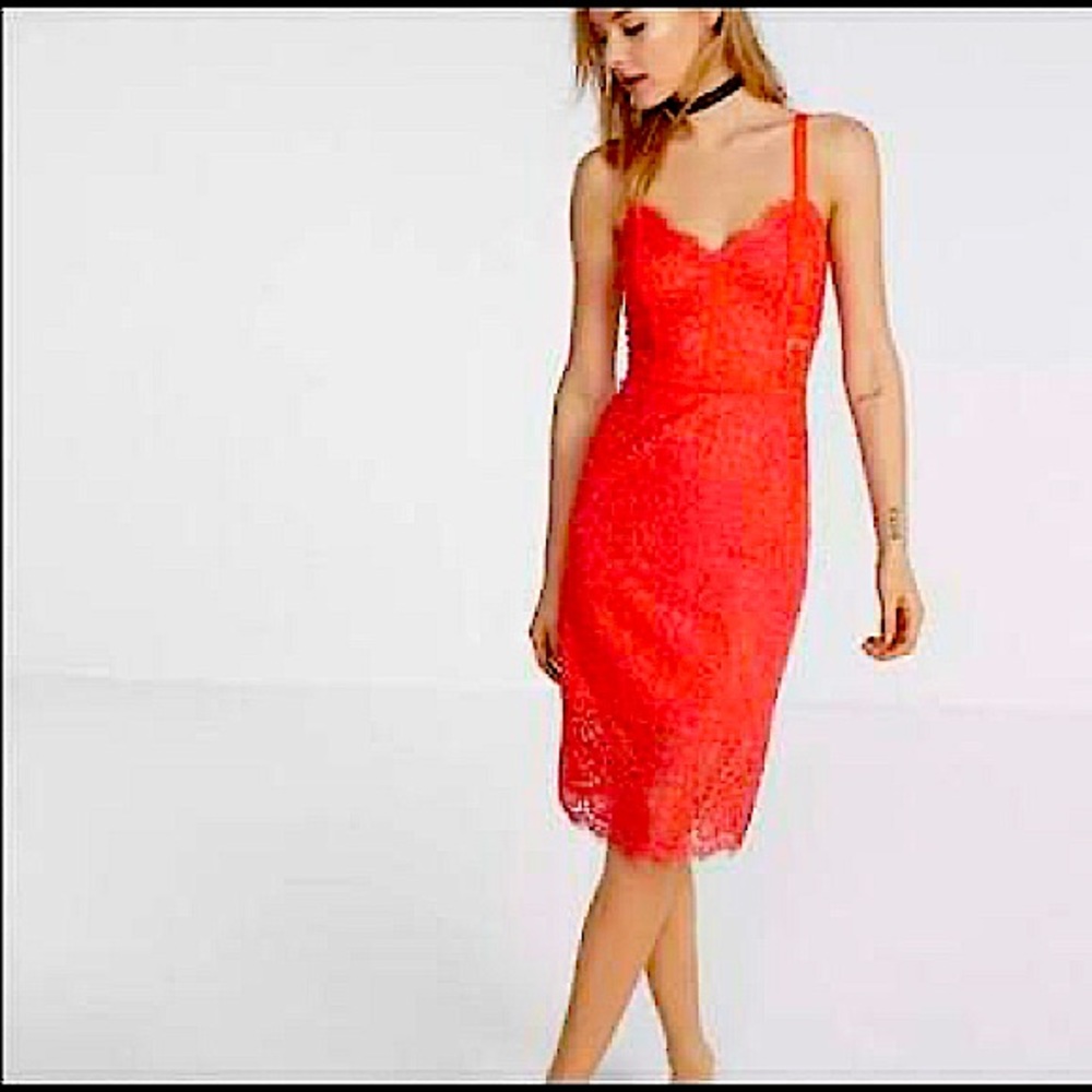 Express Piped Lace Bustier Dress